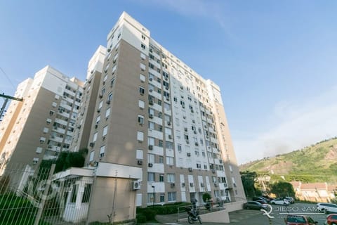 Image 29 - 264781